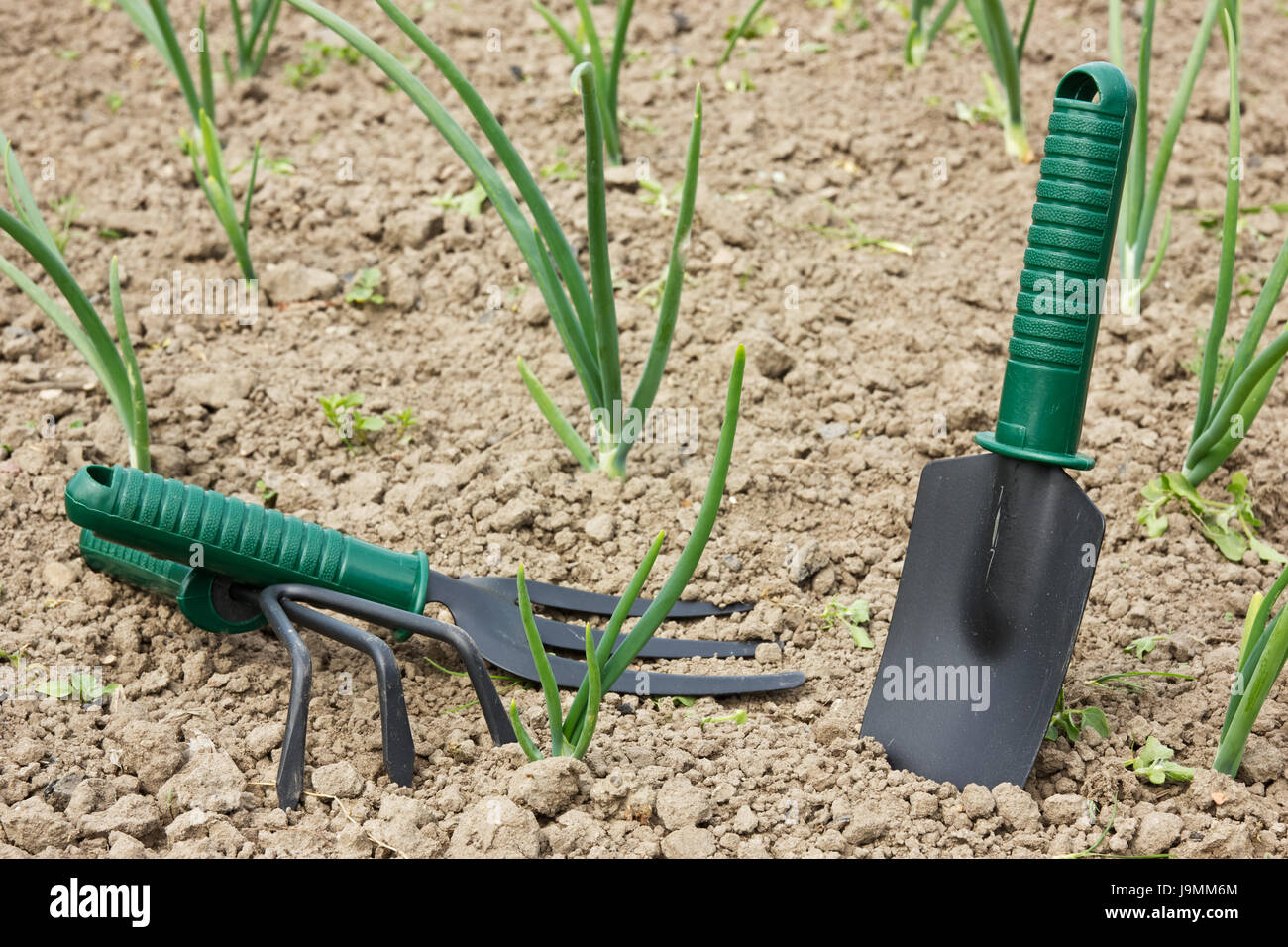 tools, agricultural, garden, agriculture, farming, gardening, plants, nature, Stock Photo