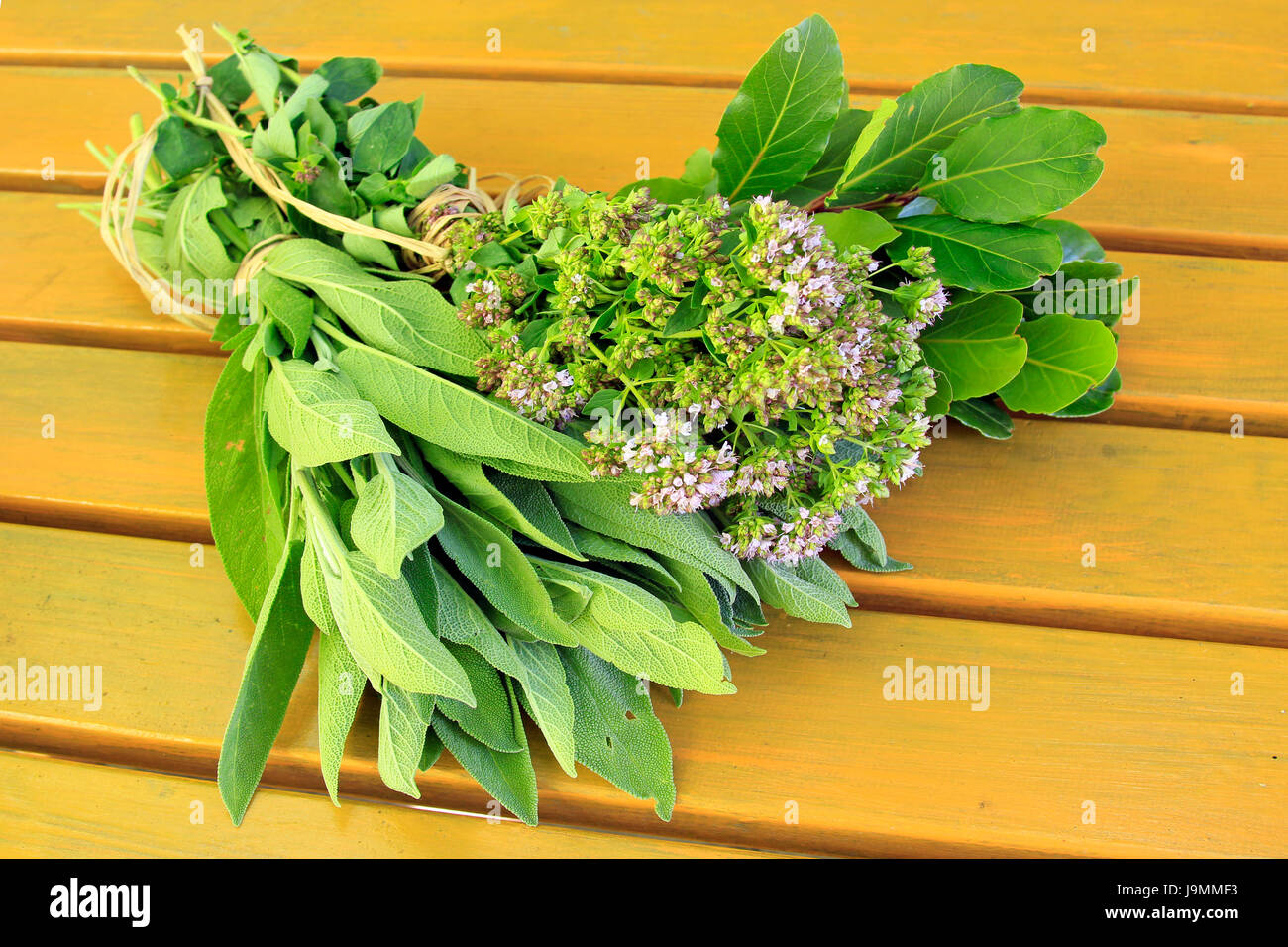 sage, oregano, laurel, snoozed, tea, leaf, spice, plant, green, leaves
