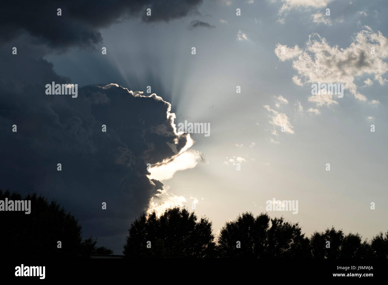 Sunrays Illuminating Cumulus Storm Clouds Above Tree Line Stock Photo ...