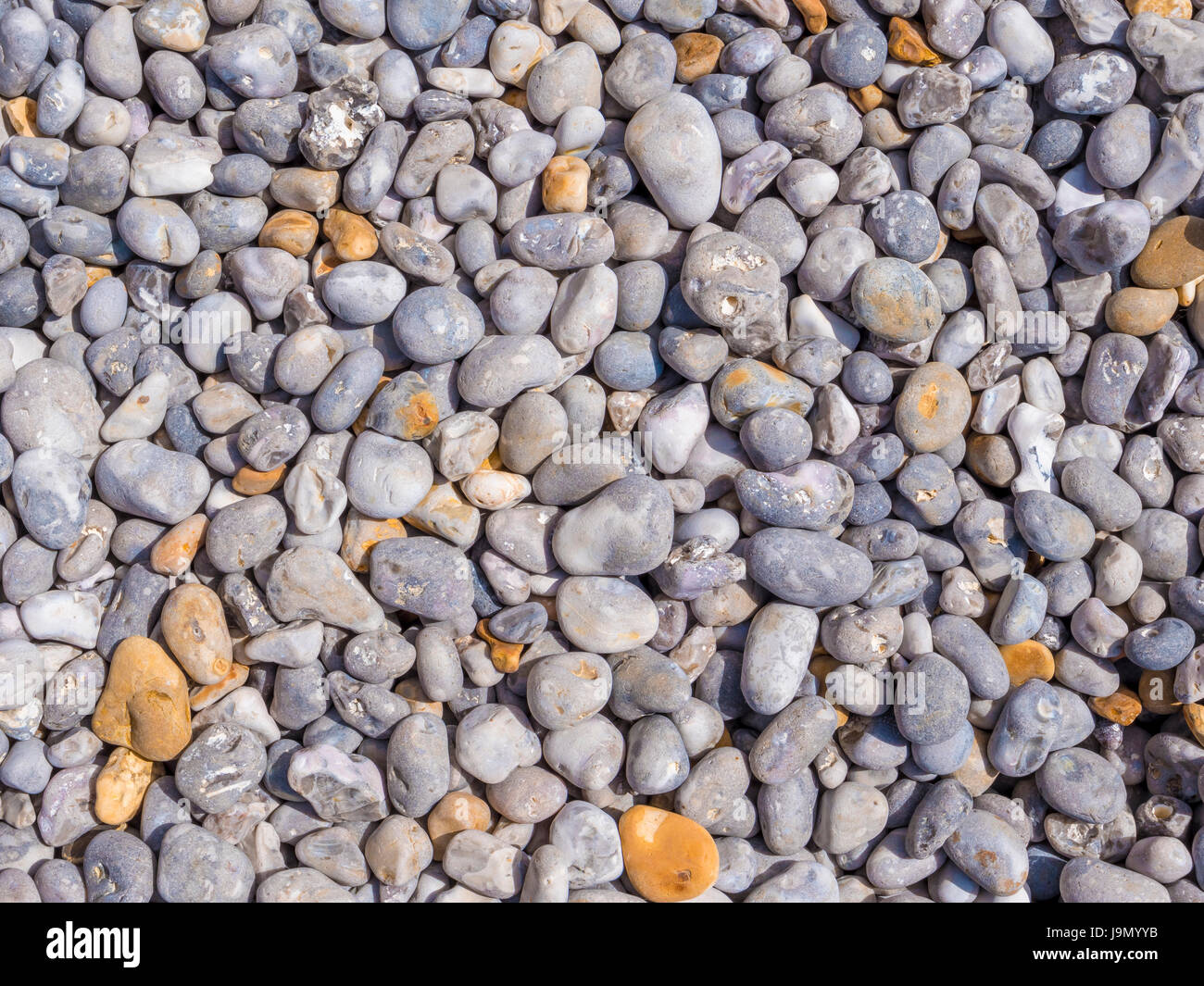 Background of smooth pebbles in different colors and sizes on the beach Stock Photo