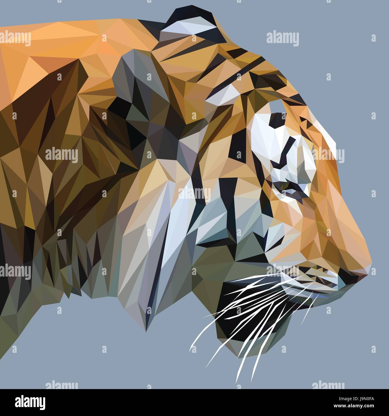 Tiger low poly design. Triangle vector illustration Stock Vector Image