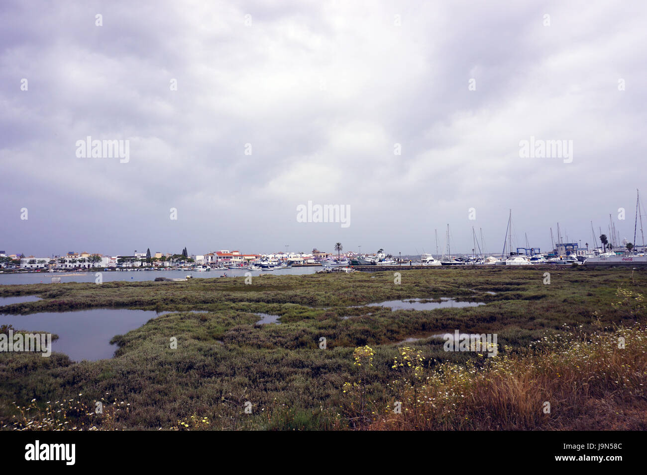 Costa de la Luz Isla Canela  moral and Cristina Spain Wetlands Nature Reseve Stock Photo