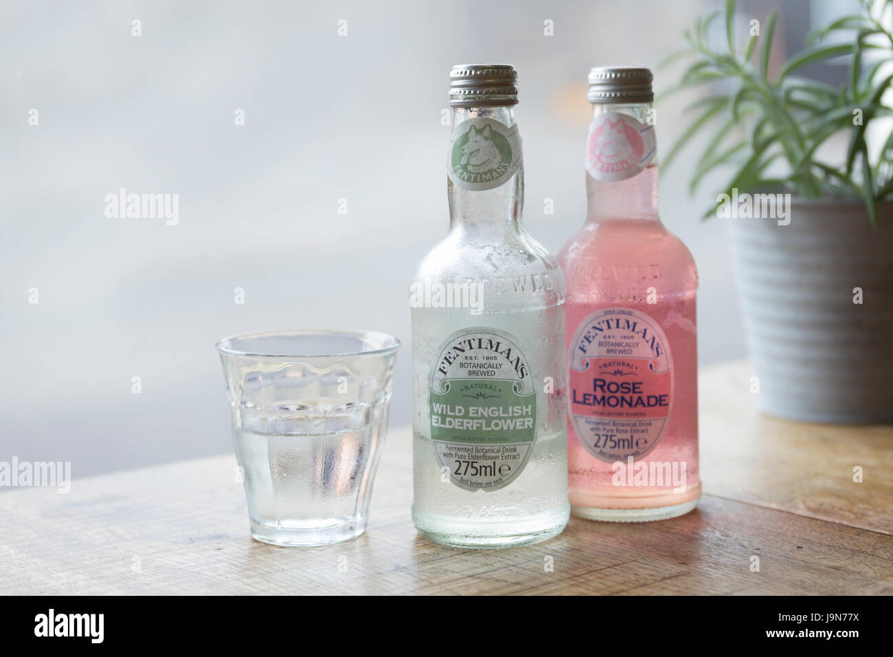 Elderflower Lemonade High Resolution Stock Photography And Images Alamy