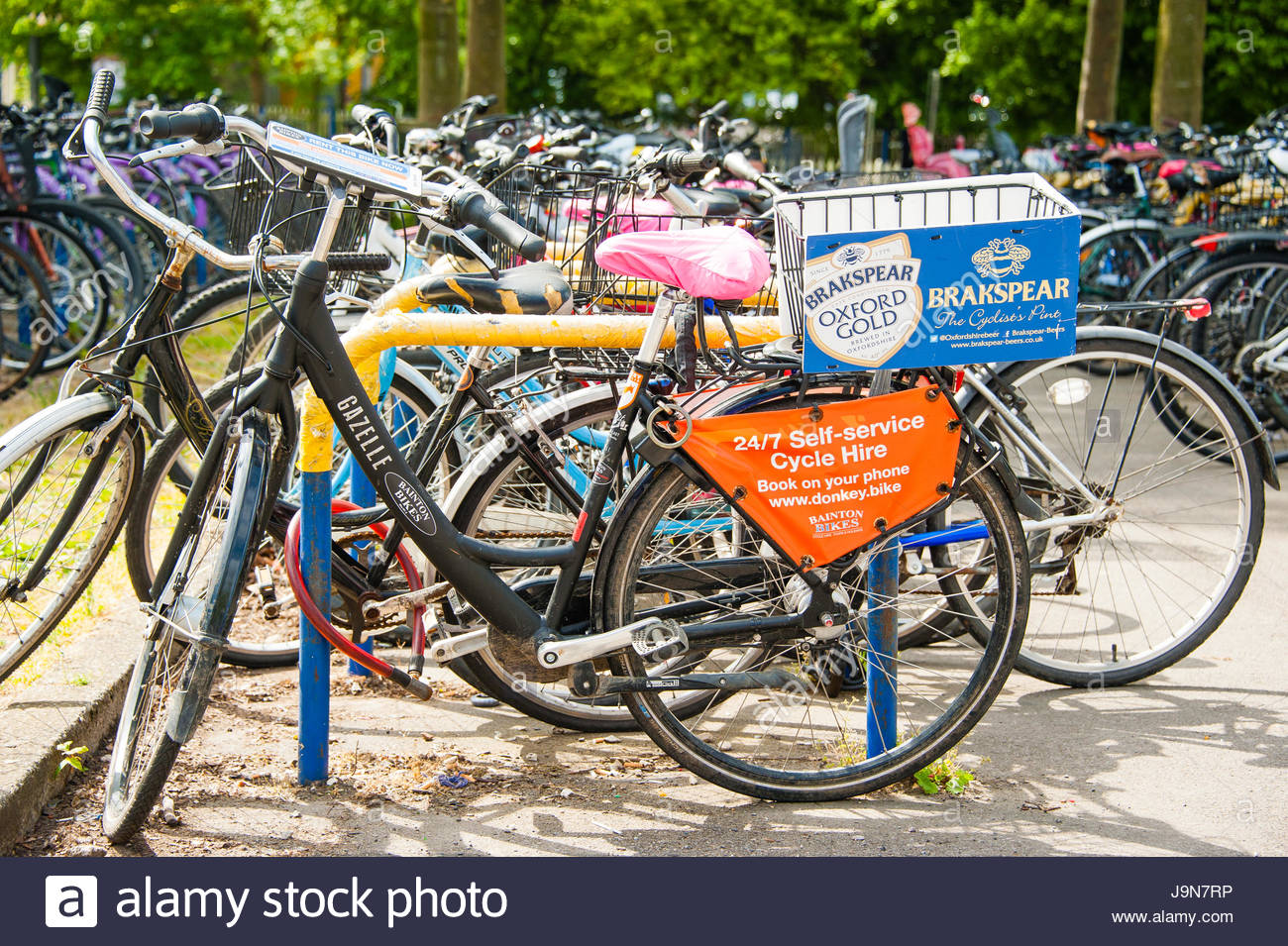 park cycles