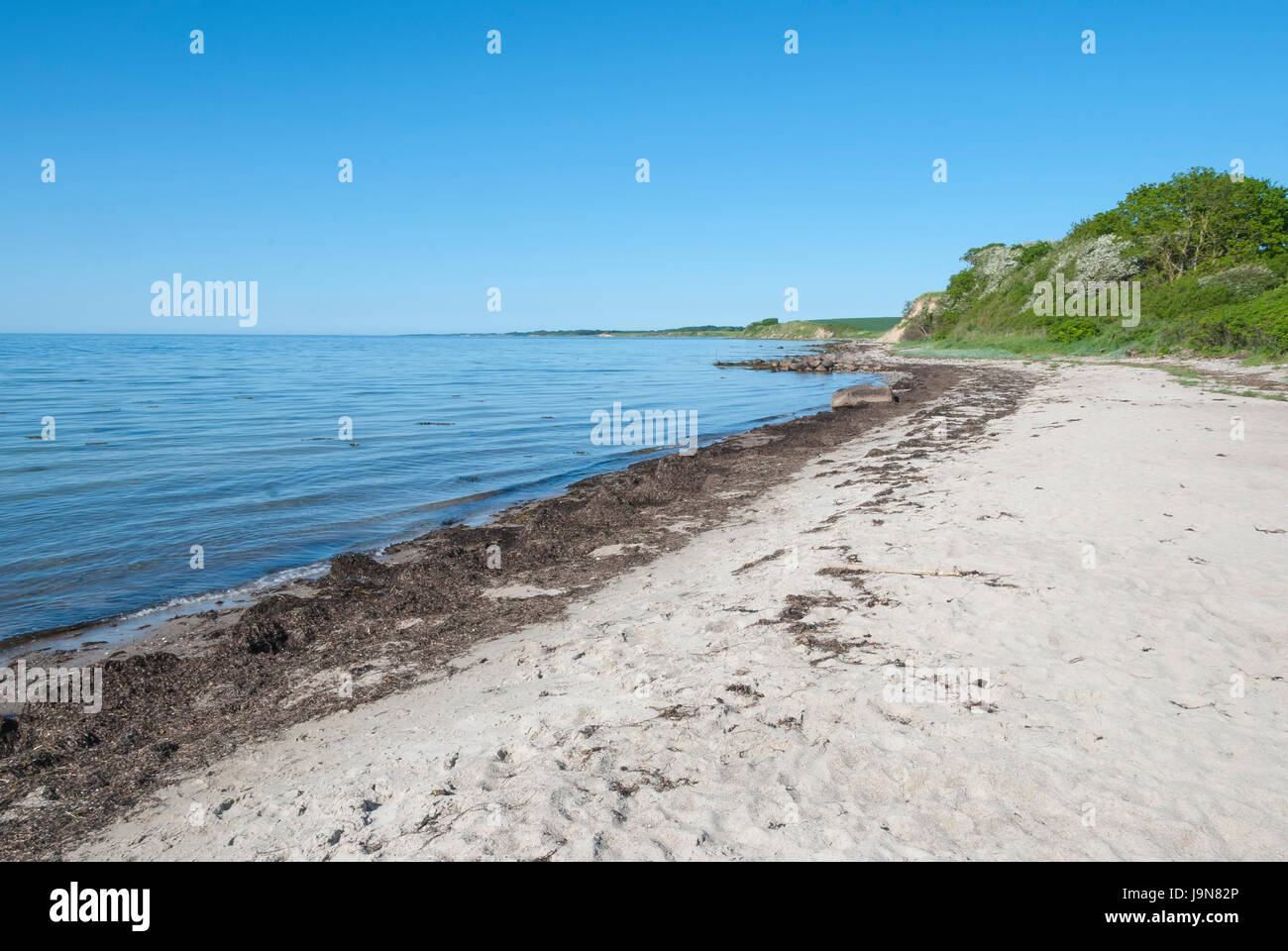 Sandy beach at Langeland island Denmark Stock Photo