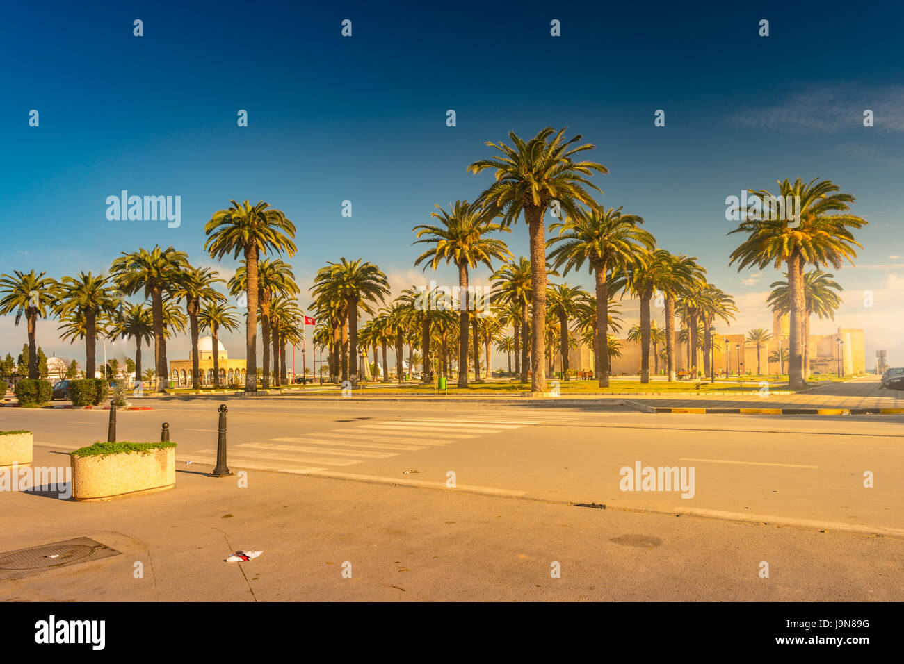 Palm trees in a tropical resort at beautiful sunny day. Image of ...