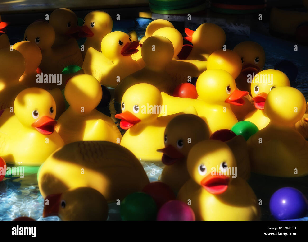 Rubber duck game on the midway of a county fair Stock Photo Alamy