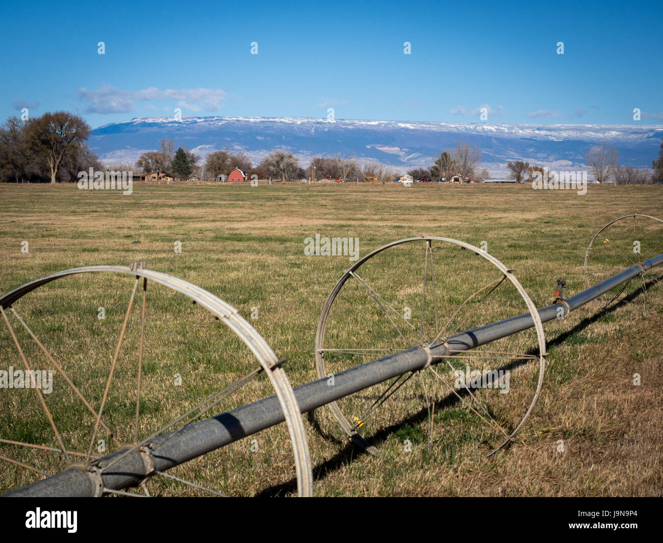 Field in western colorado with old irrigation ssystem and farms and snow capped mountains taken in Olathe, Colorado midday in November,  Blue sky and  Stock Photo