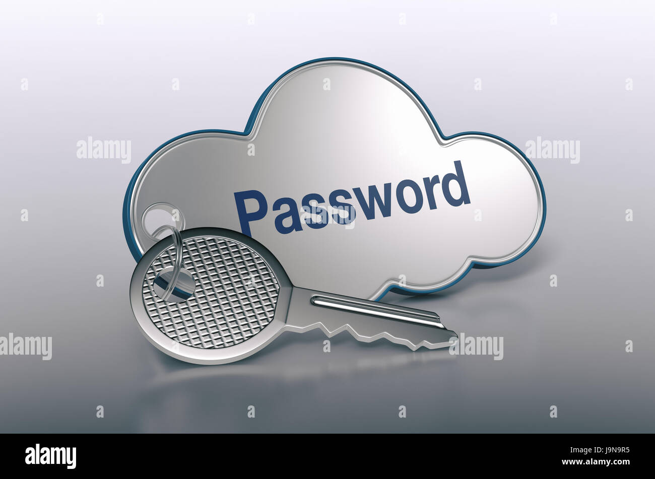 one cloud with a key and text password, concept of computer, web