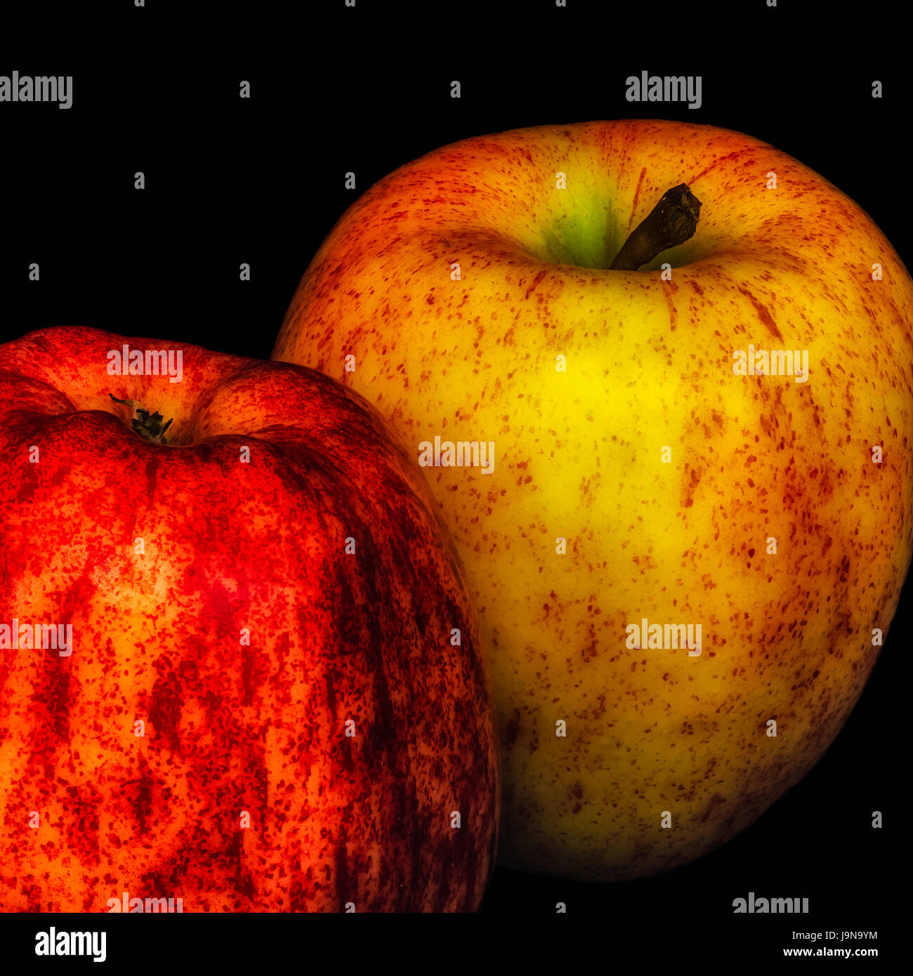 Fine art color macro portrait of two apples on black background Stock Photo
