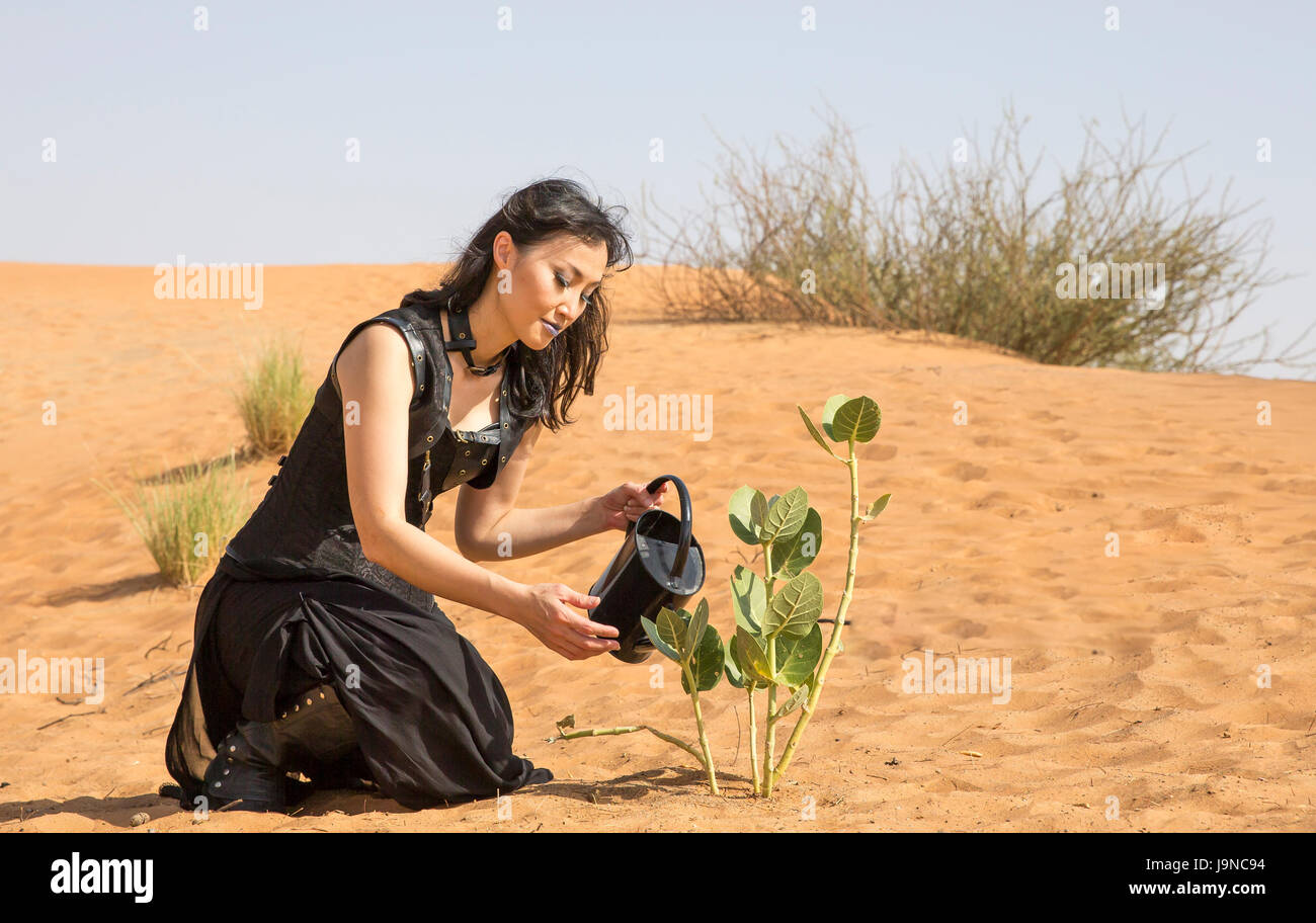 woman watering a plant in a desert Stock Photo