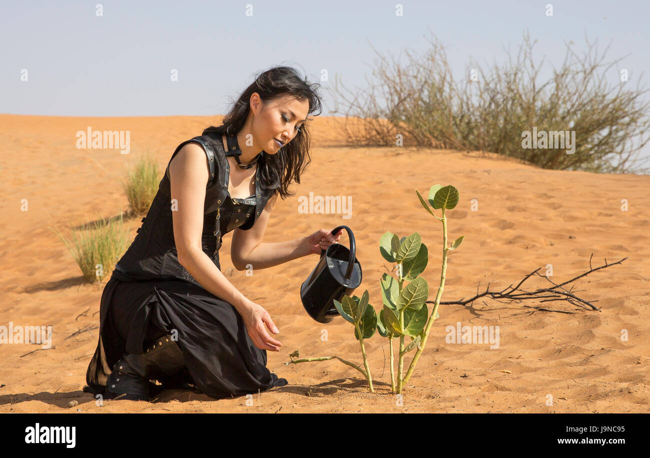 woman watering a plant in a desert Stock Photo