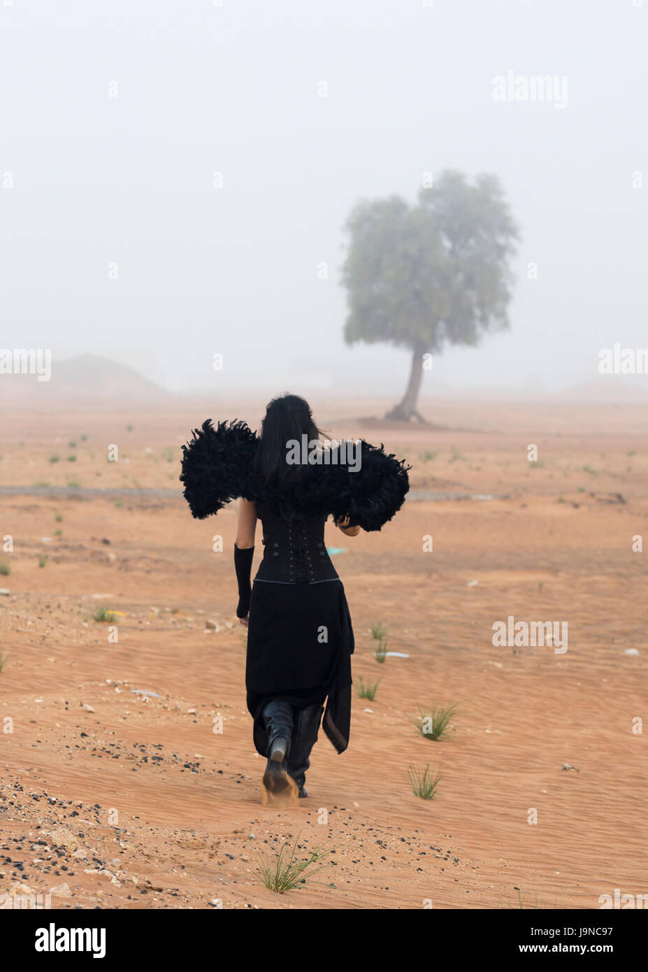 woman wearing blackangel wings walks into a fog Stock Photo