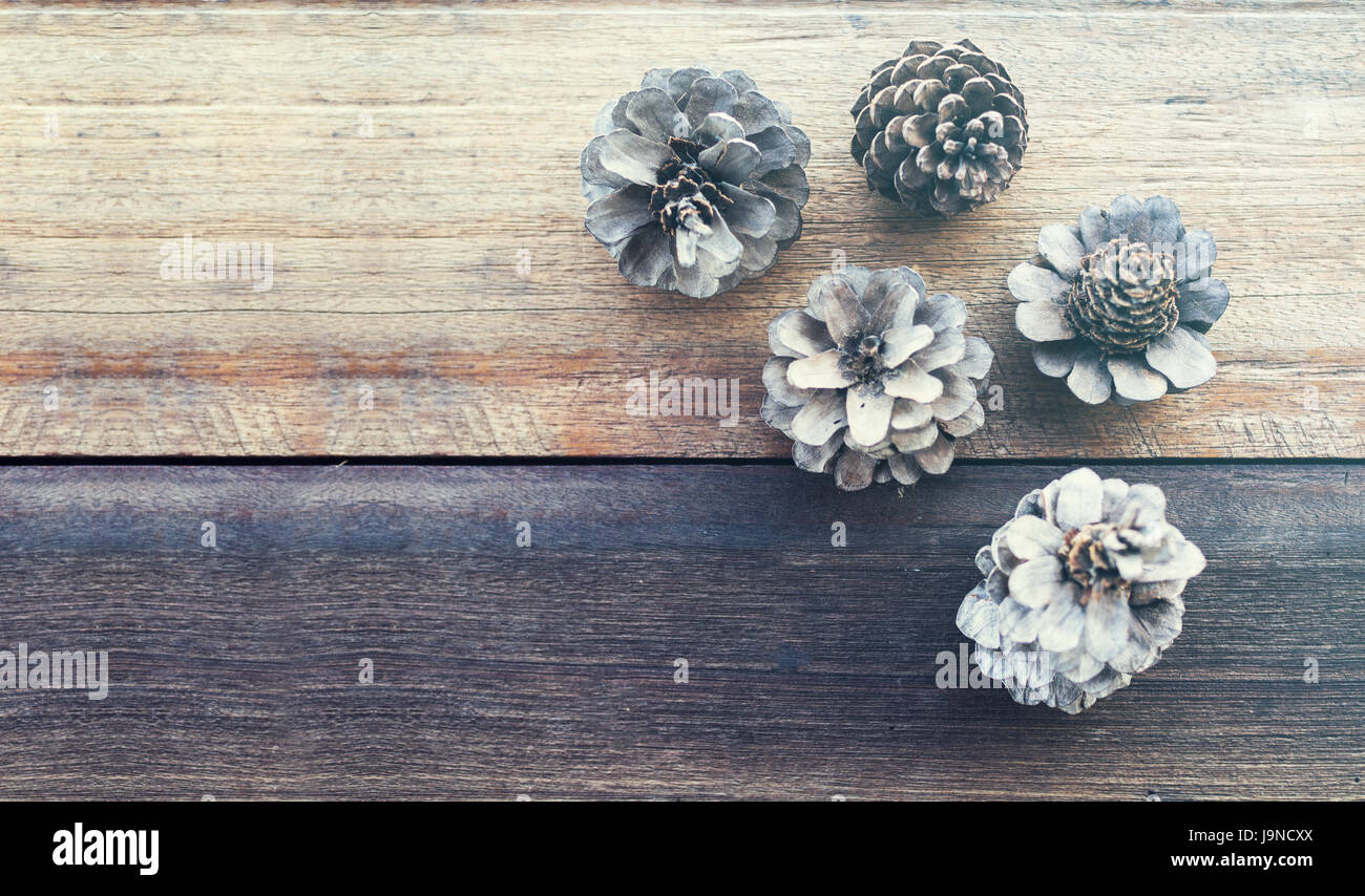 Soft Vintage filtered, Pine flower on wood table, flat lay, nature and relax concept Stock Photo