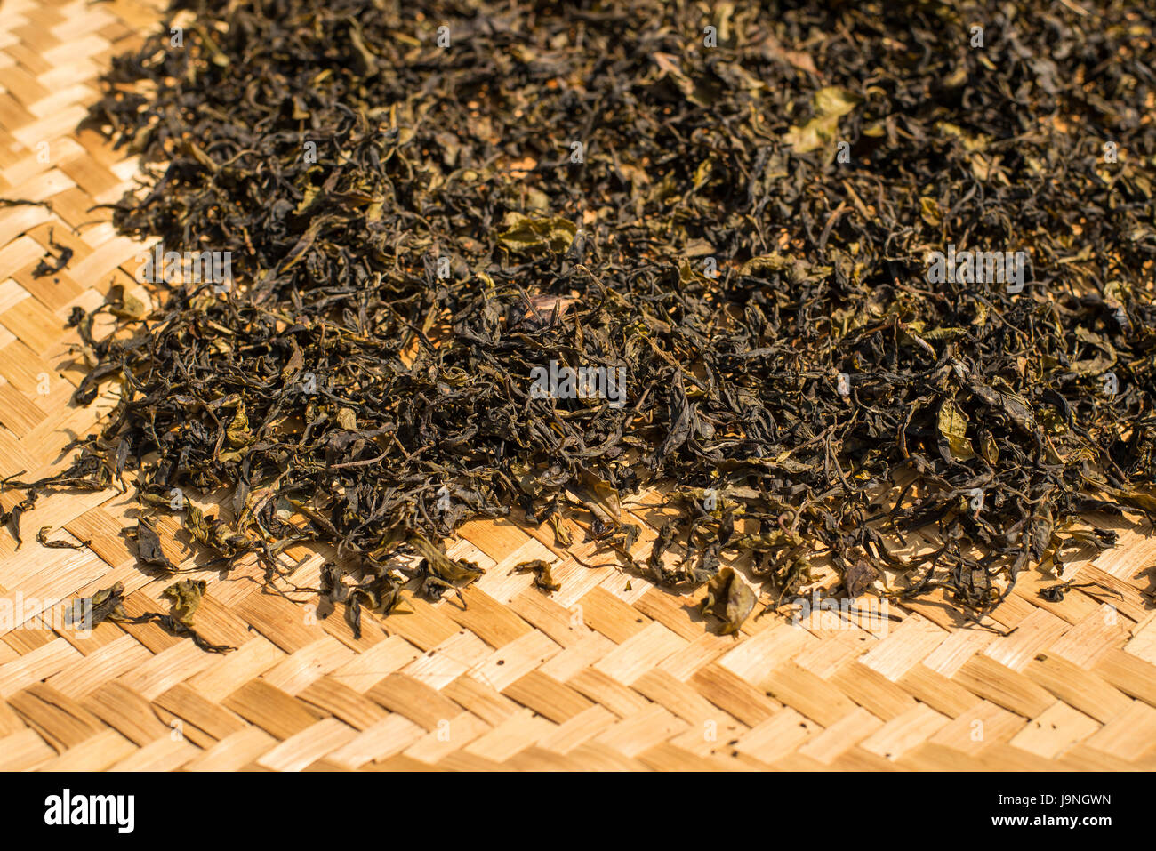 Tea leaves drying on a woven mat in a village near Inle Lake, Myanmar. Stock Photo