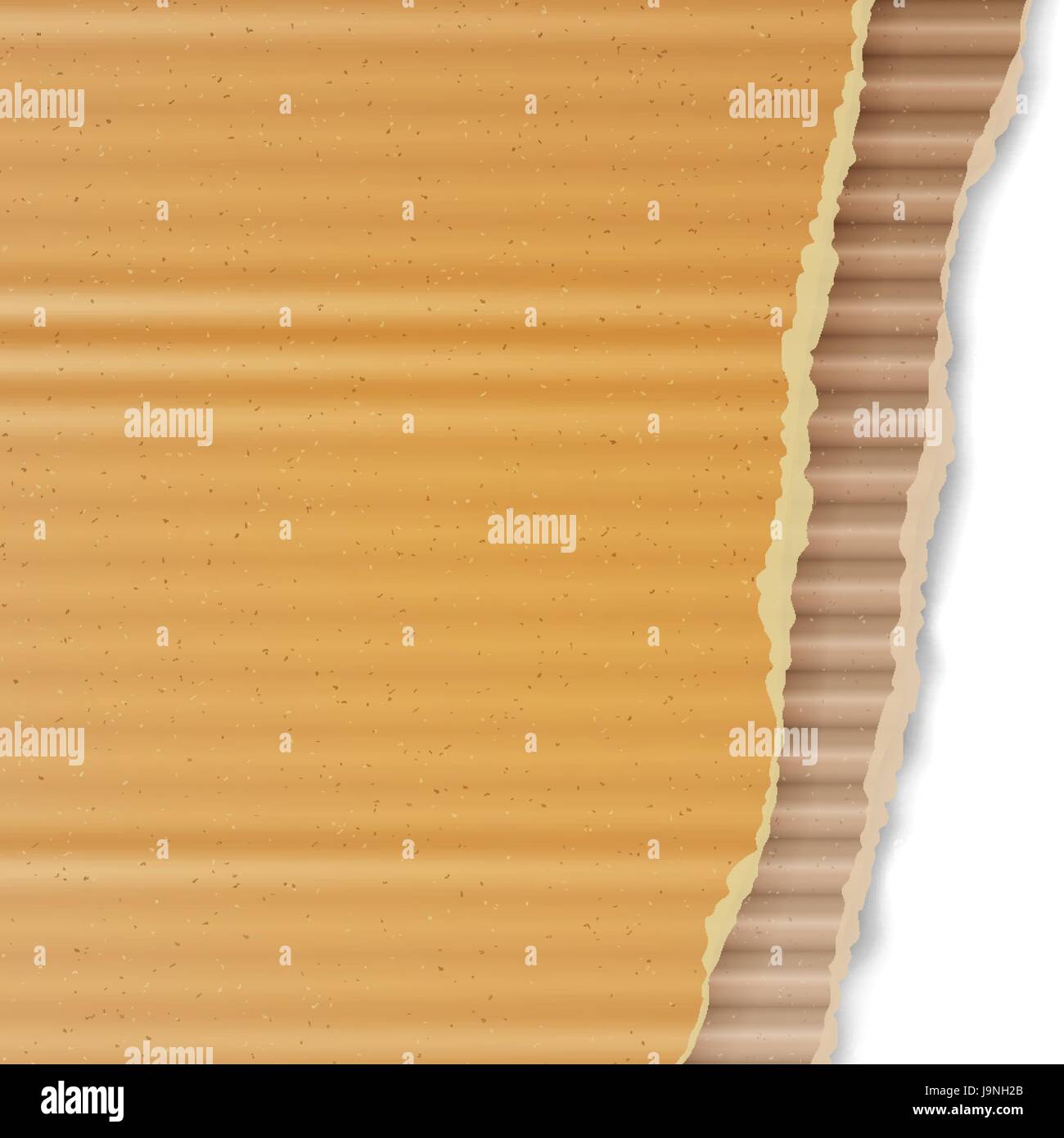 Corrugated Cardboard Vector Background. Realistic Ripped Carton ...