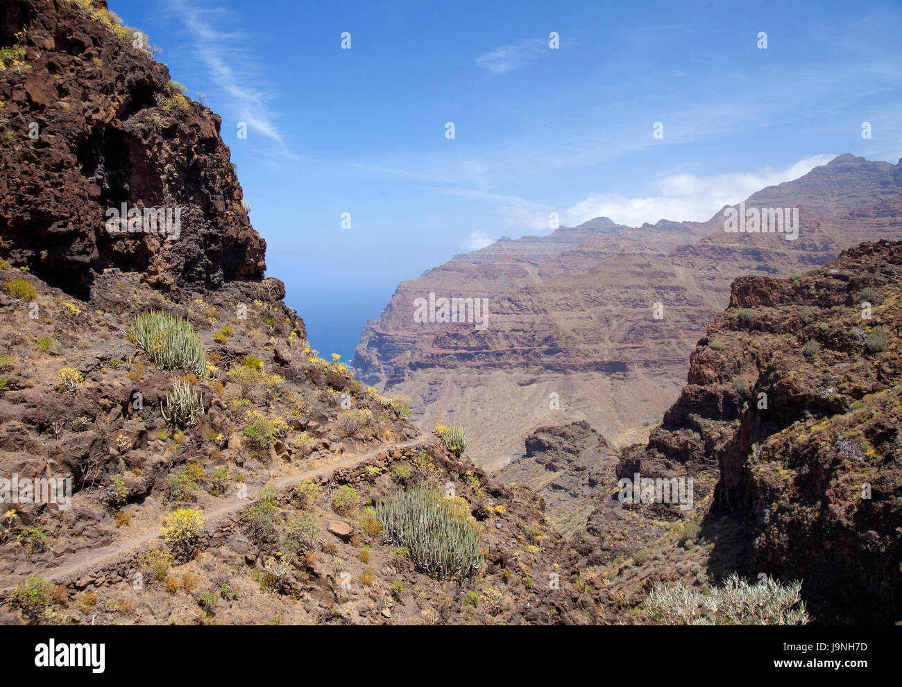 Western Gran Canaria, May, hiking route Tasartico - Playa GuiGui, ravine Barranco de Guigui 