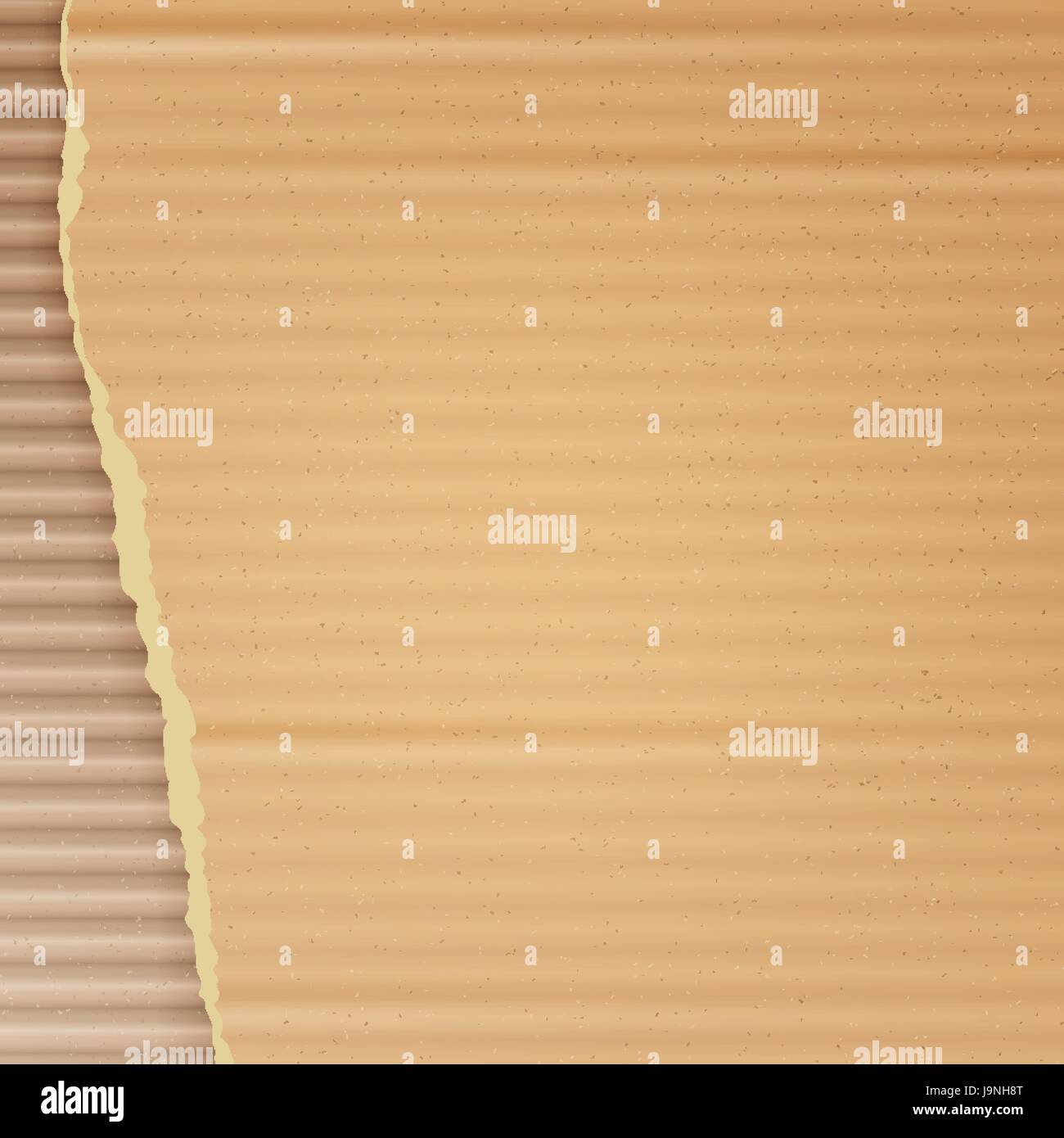 Corrugated Cardboard Vector Background. Realistic Texture Ripped