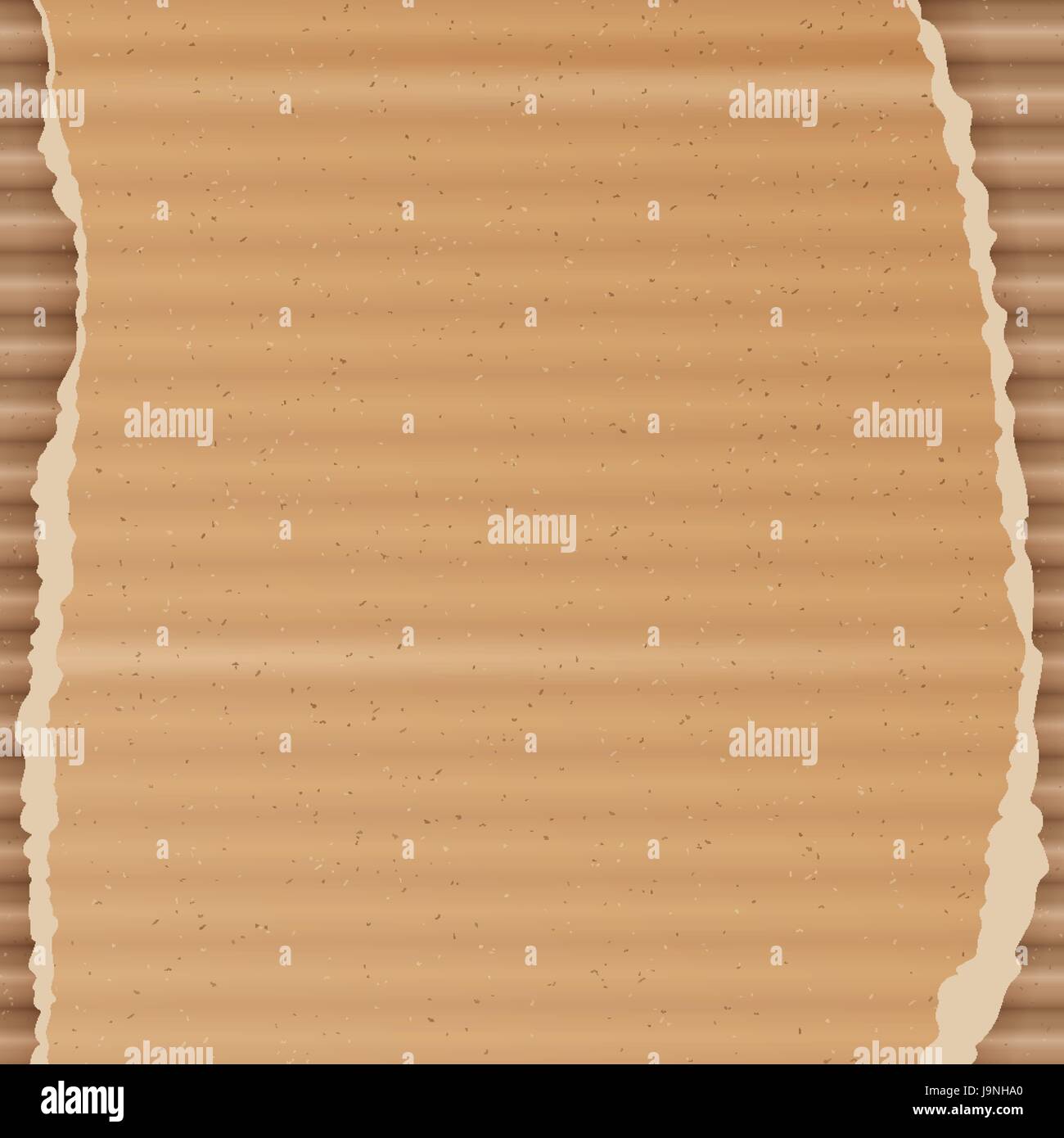 Corrugated Cardboard Vector Background. Realistic Texture Ripped ...