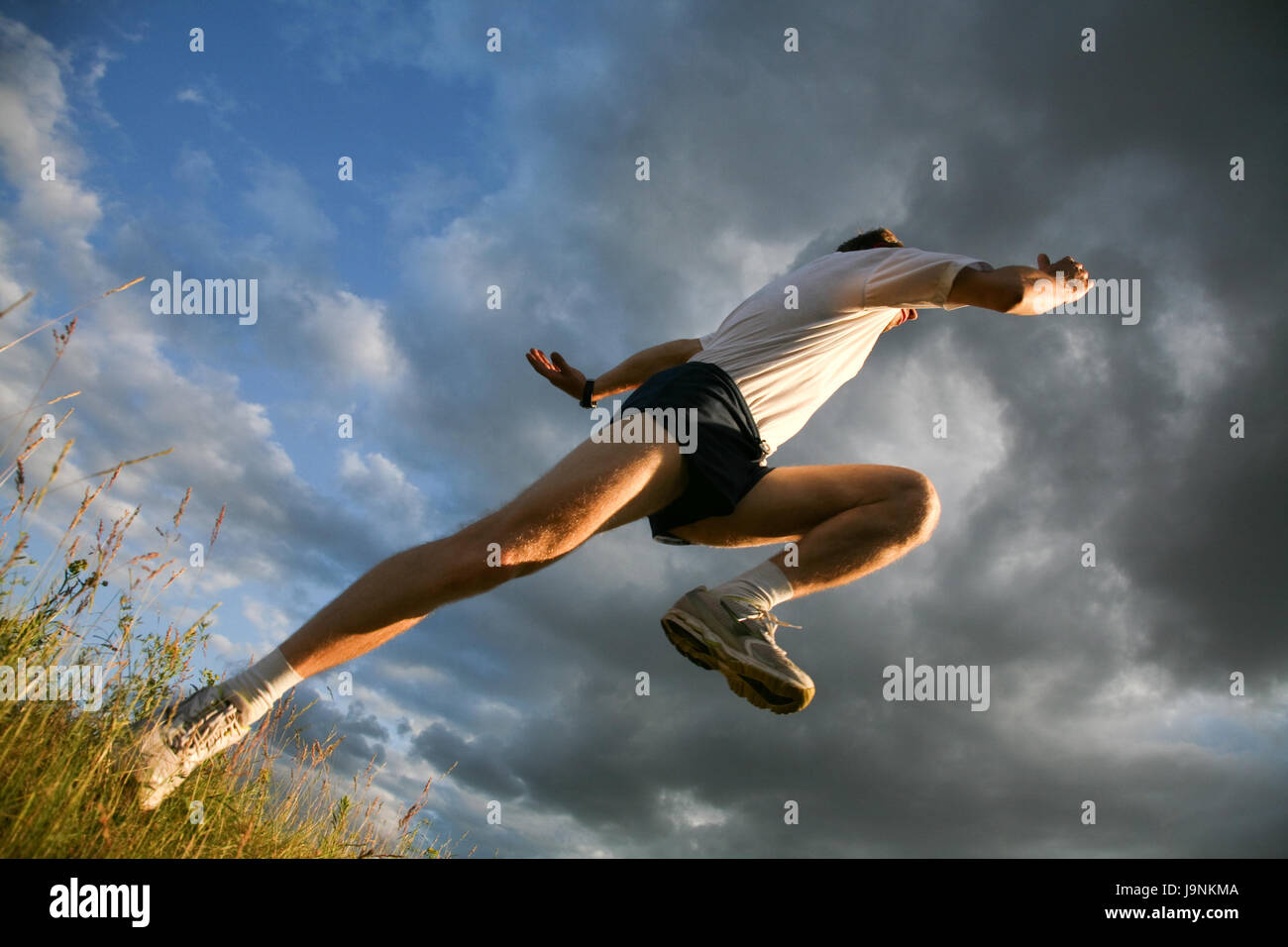 humans, human beings, people, folk, persons, human, human being, motion ...