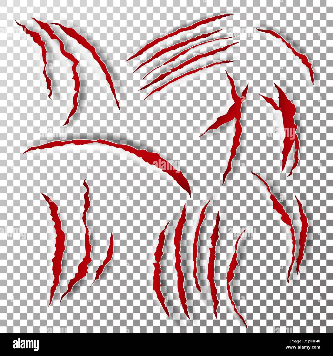 Free Free Paw Scratch Svg 724 SVG PNG EPS DXF File