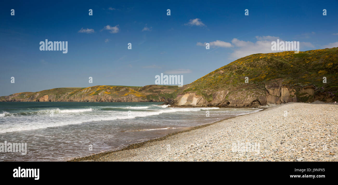 UK, Wales, Pembrokeshire, Newgale Sands, beach at high tide, panoramic  Stock Photo - Alamy