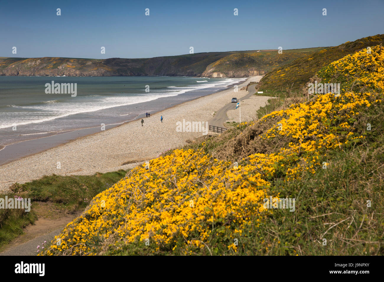 UK, Wales, Pembrokeshire, Newgale Sands, visitors on pebbly storm beach