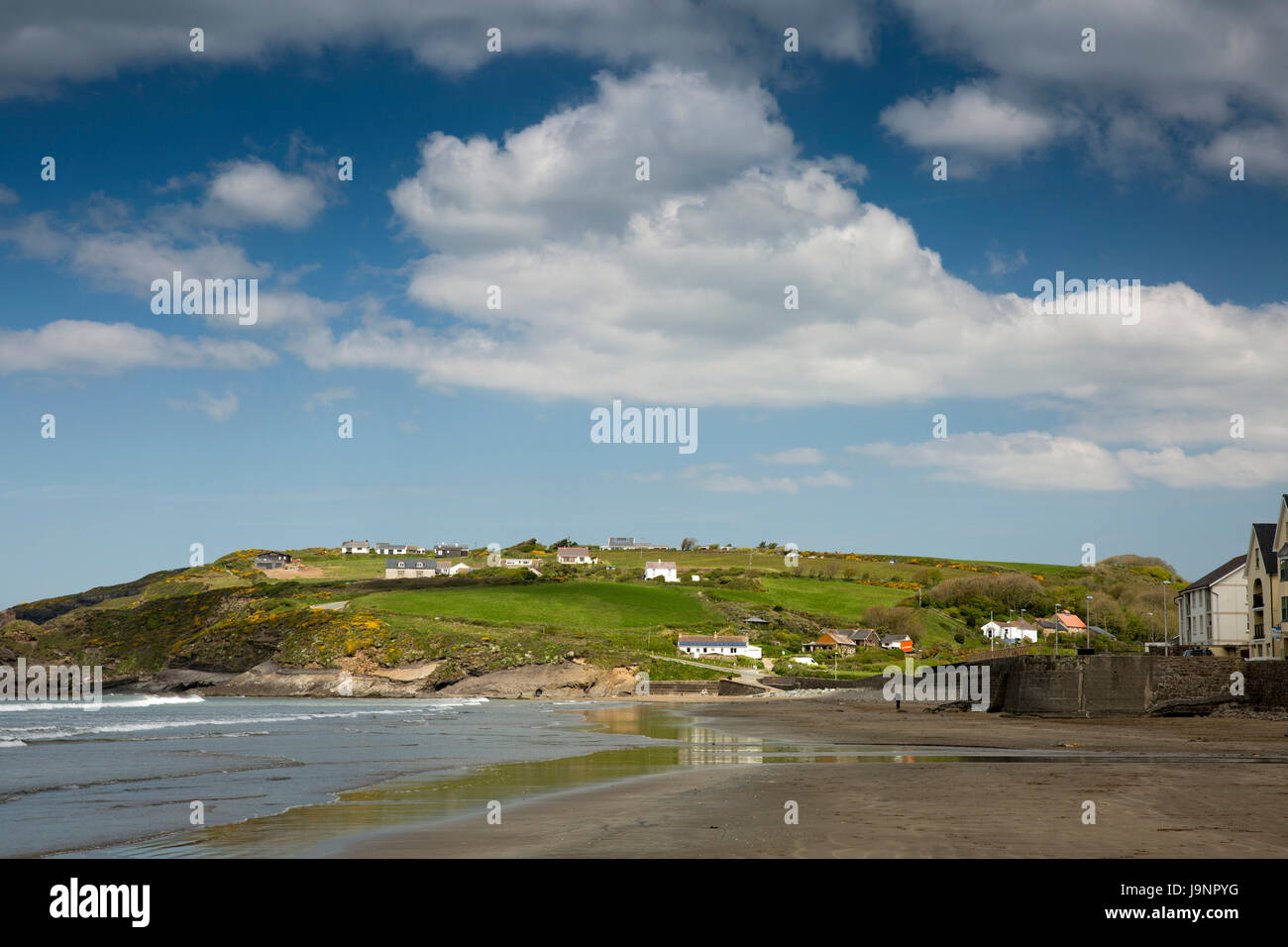 Timber hill pembrokeshire hires stock photography and images Alamy