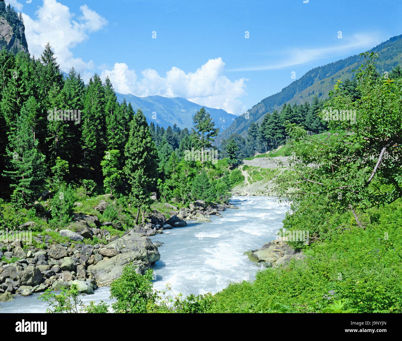 India,Kashmirtal,river,Kashmir,valley,wood,waters,wood,trees,stones,nobody,nature, Stock Photo