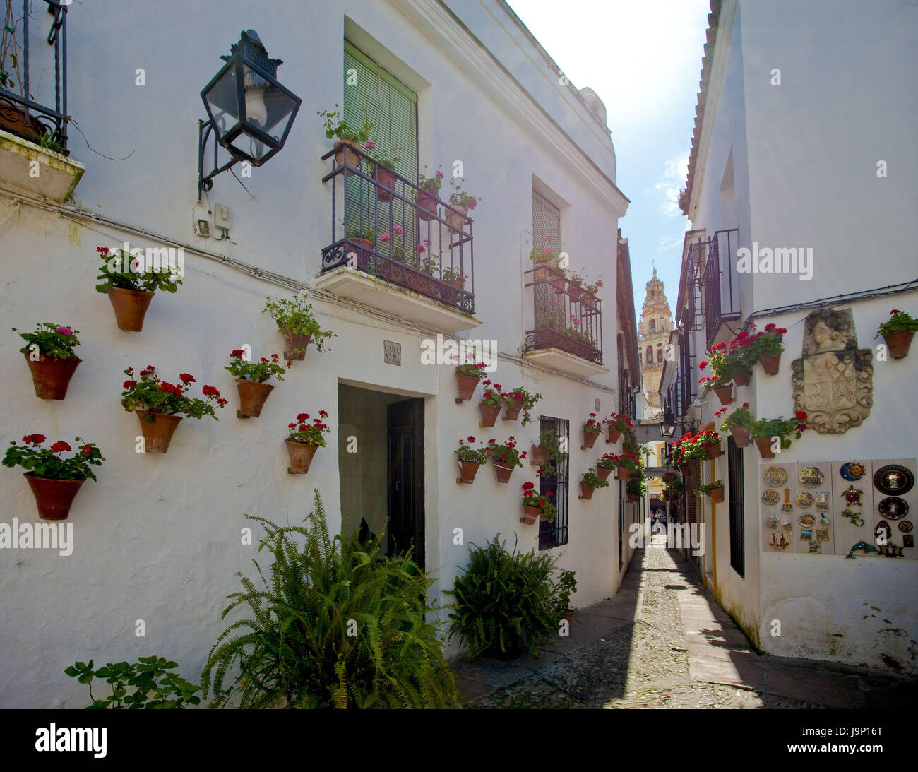 Spain,Andalusia,Cordoba,Old Town,lane,houses,flowers, Stock Photo