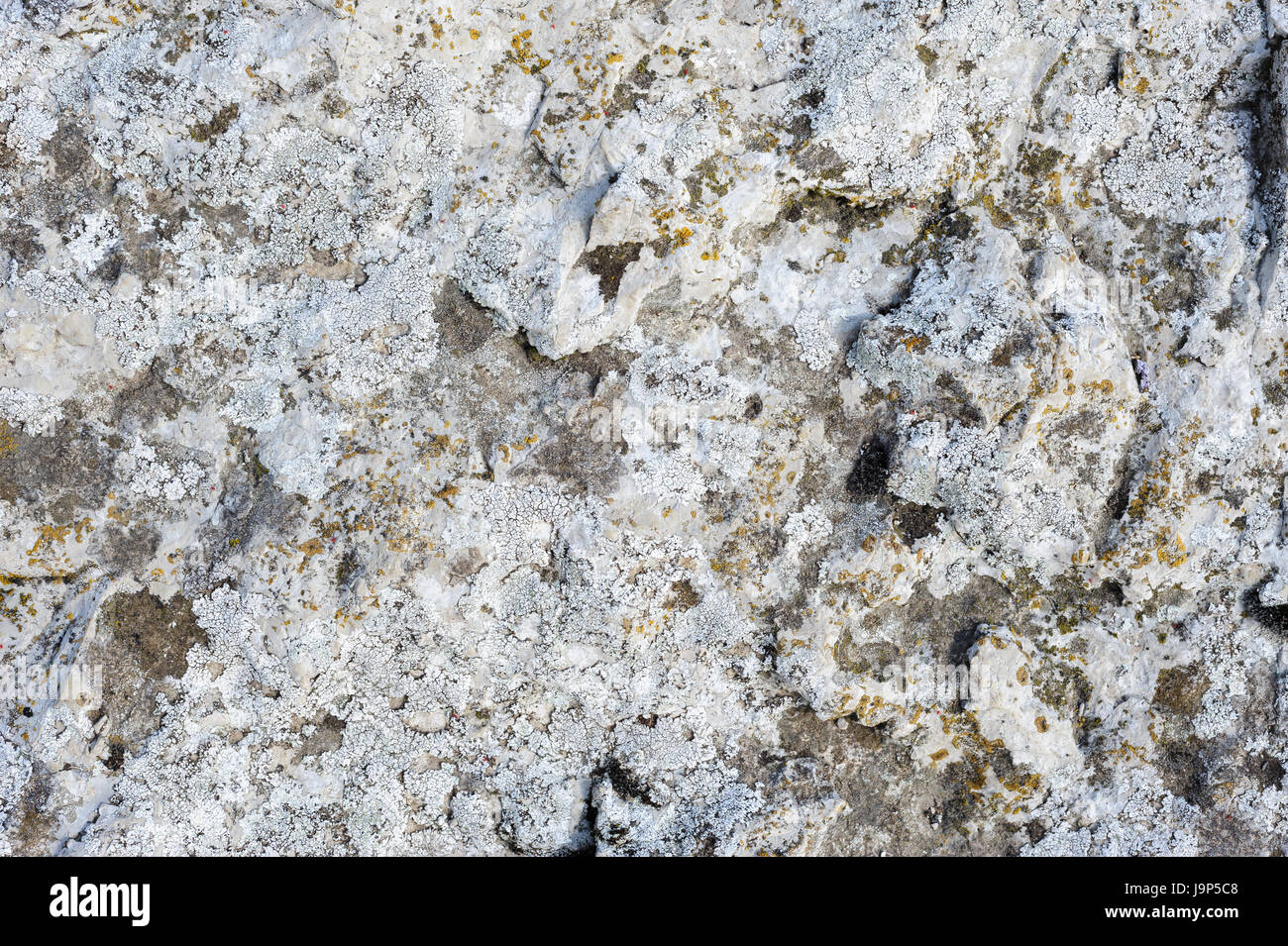 Natural rock with lichen texture Stock Photo