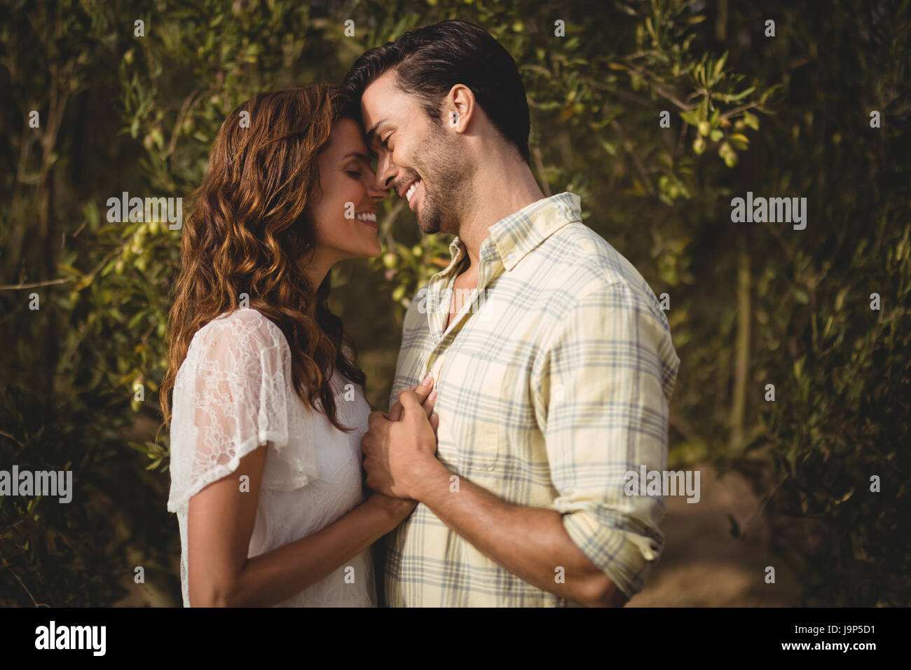 Loving young couple standing by trees at olive farm Stock Photo