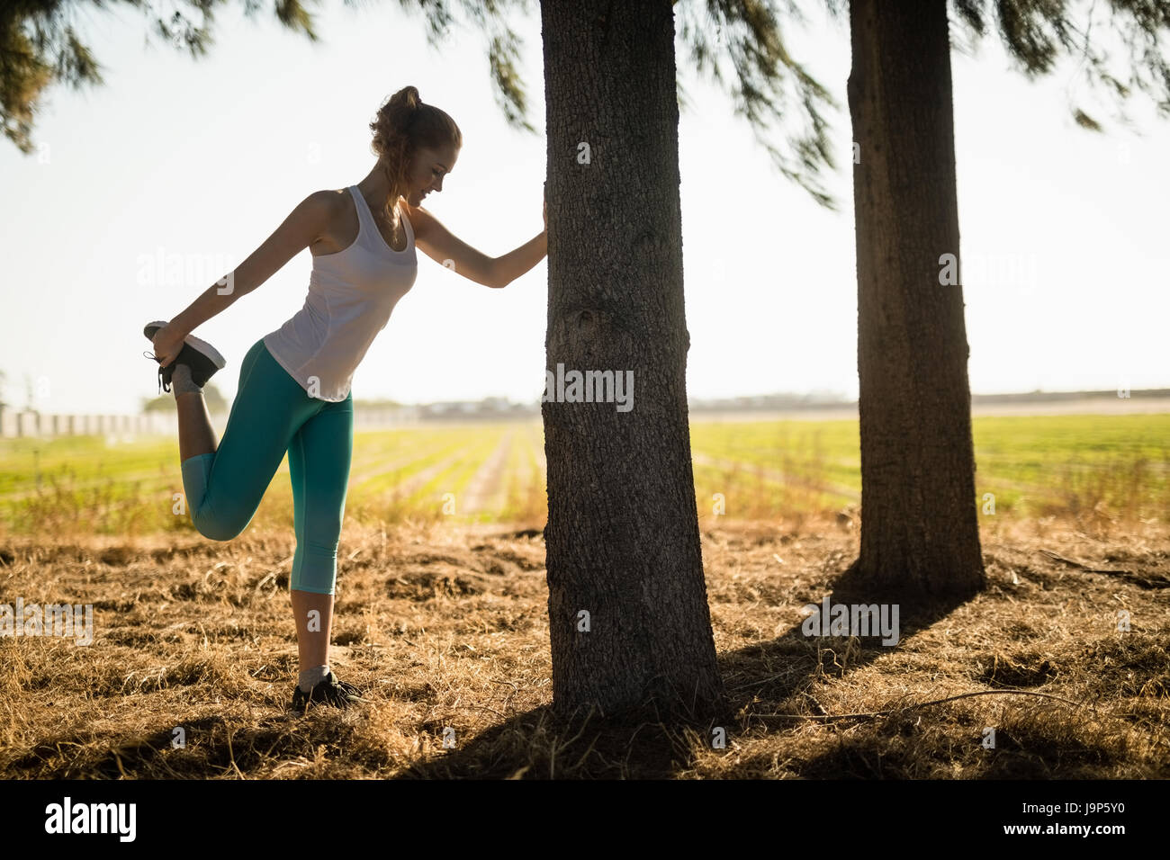 Full length of young woman exercising by tree at farm Stock Photo