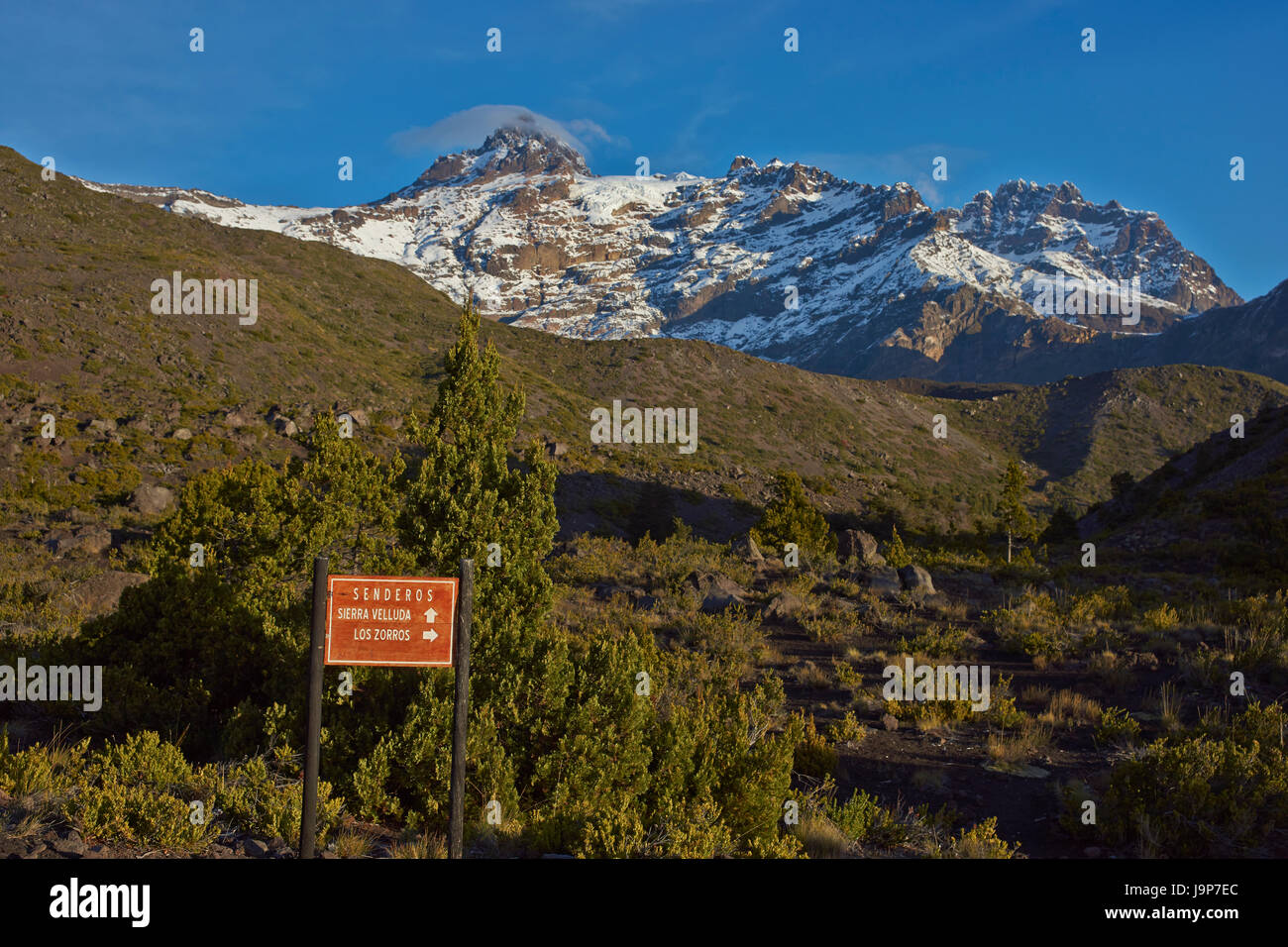 Mountain Sierra Velluda (3,585 m) rising above forested hillsides in Laguna de Laja National Park in the Bio Bio region of Chile. Stock Photo