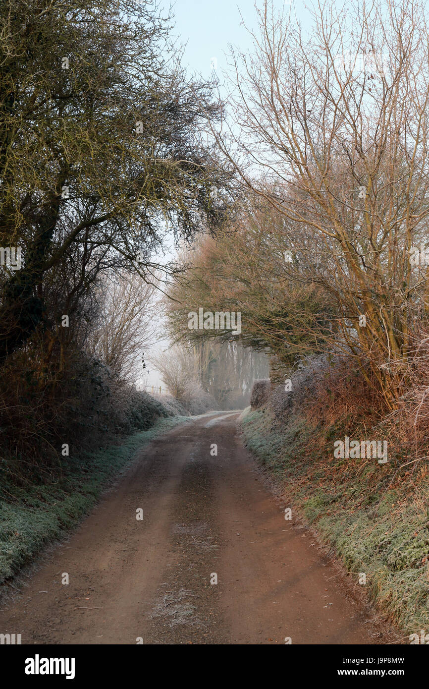Foggy winter morning along muddy farm track, Brabourne Lees, Ashford