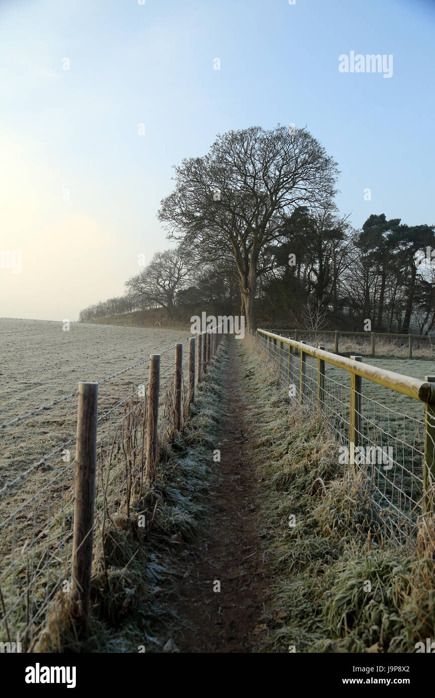 Frosty footpaths between Hatch Park and Brabourne Lees/Smeeth near