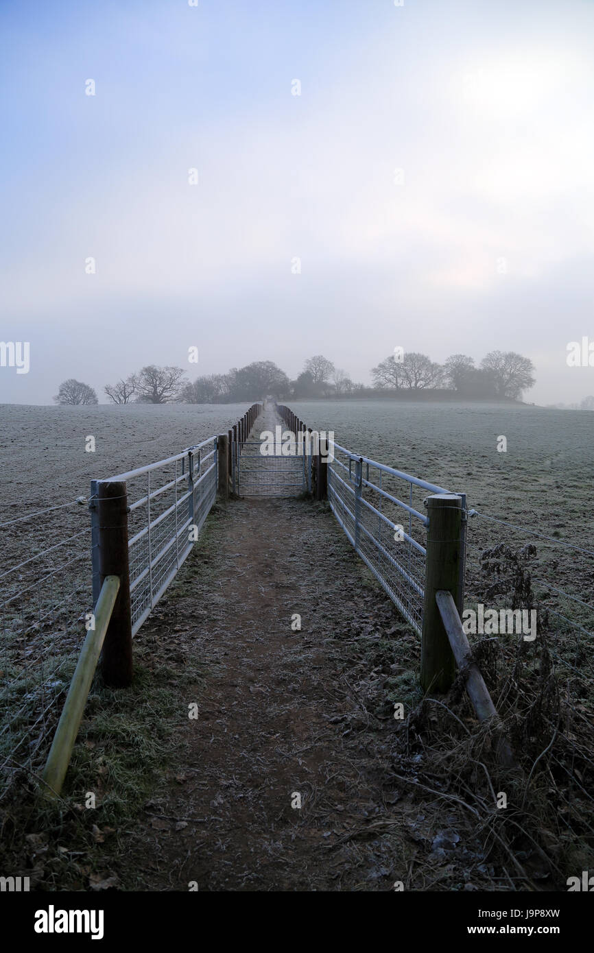 Frosty footpaths between Hatch Park and Brabourne Lees/Smeeth near