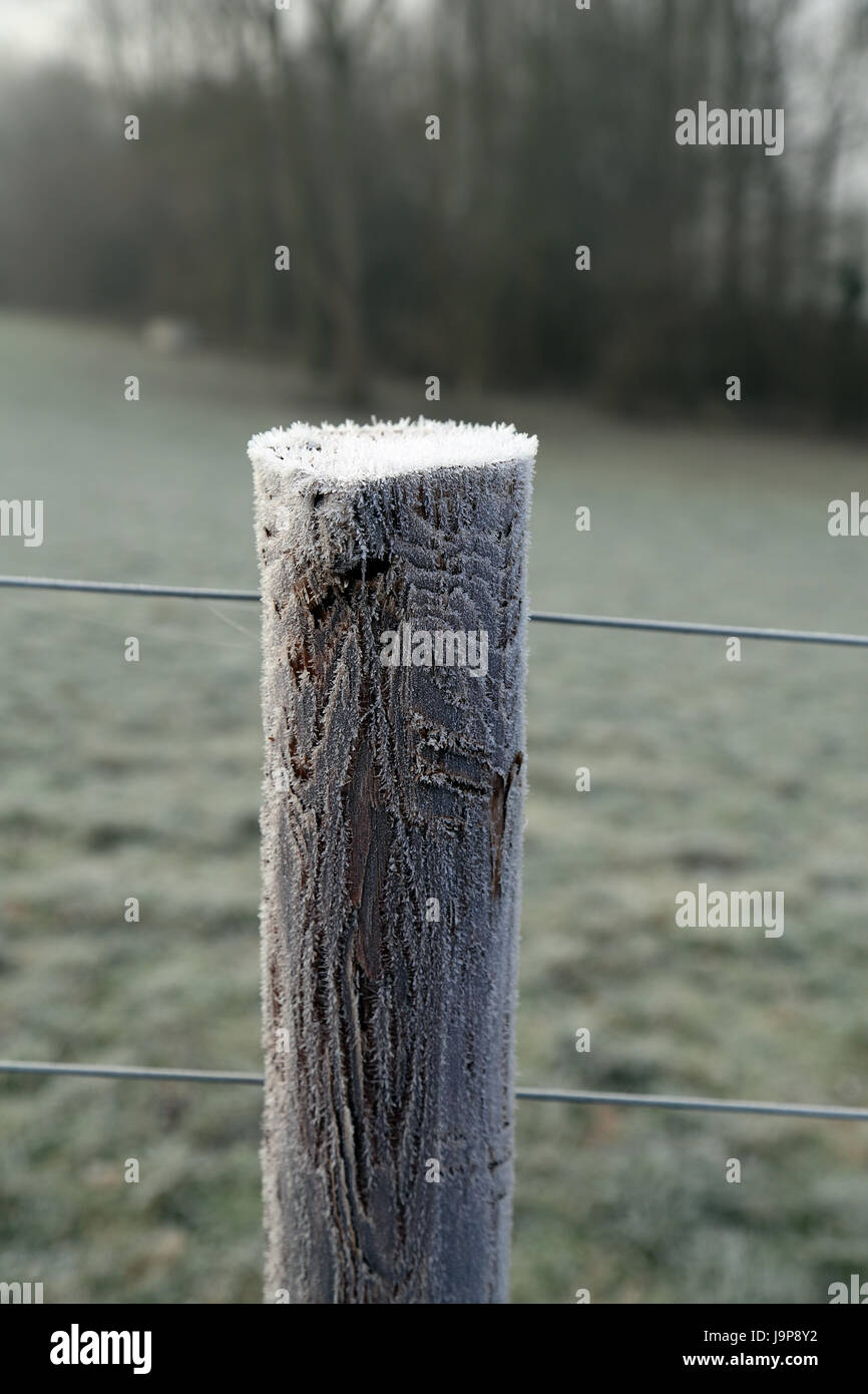 Frosty fence post along footpaths between Hatch Park and Brabourne Lees