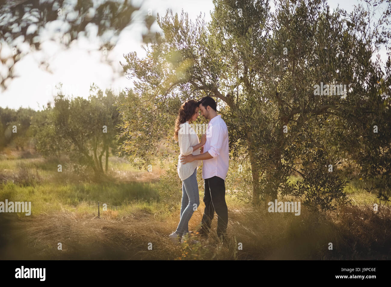 Side view of young couple standing together at olive farm Stock Photo ...