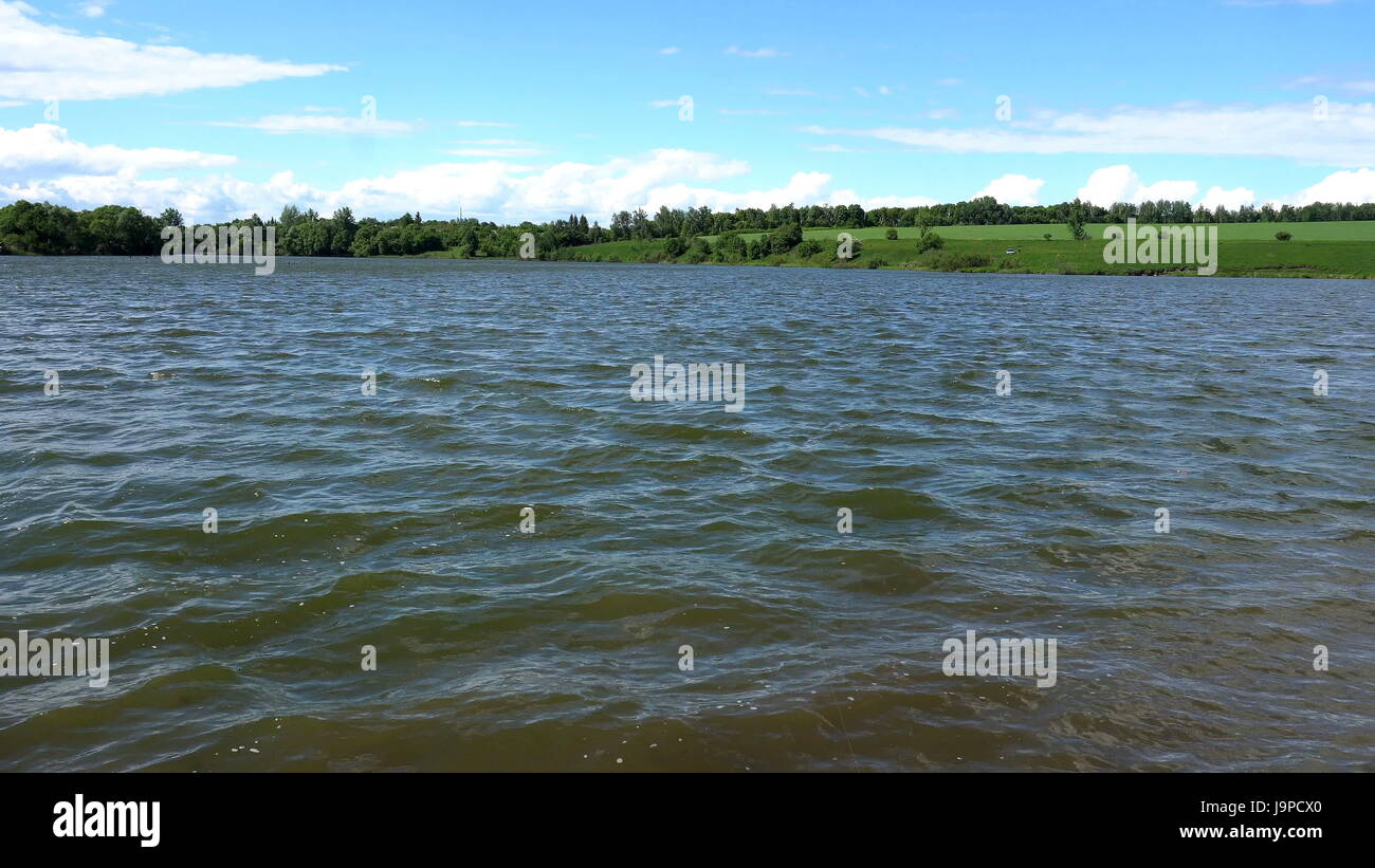 the landscape,the ripples on the river,in front of tall grass,in the ...