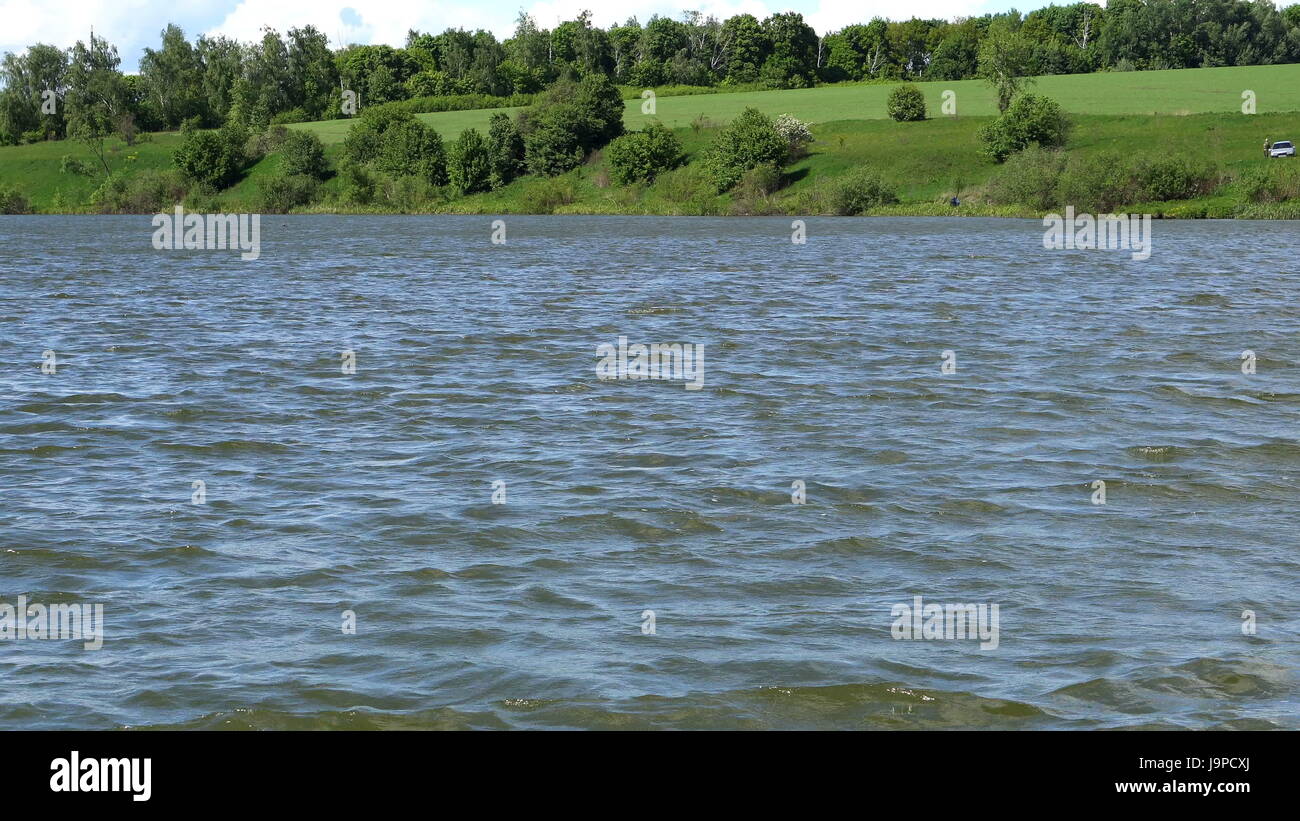 the landscape,the ripples on the river,in front of tall grass,in the ...