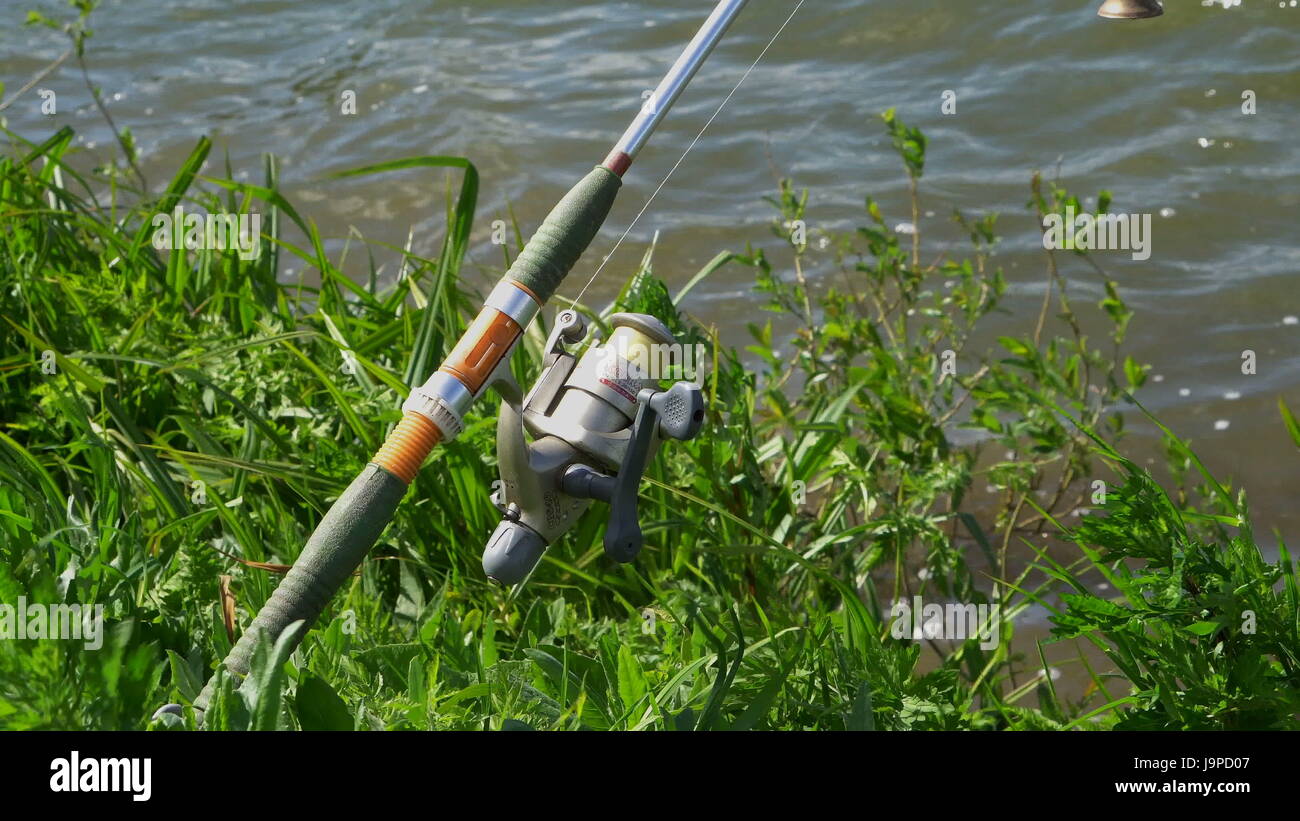 surface fishing rod