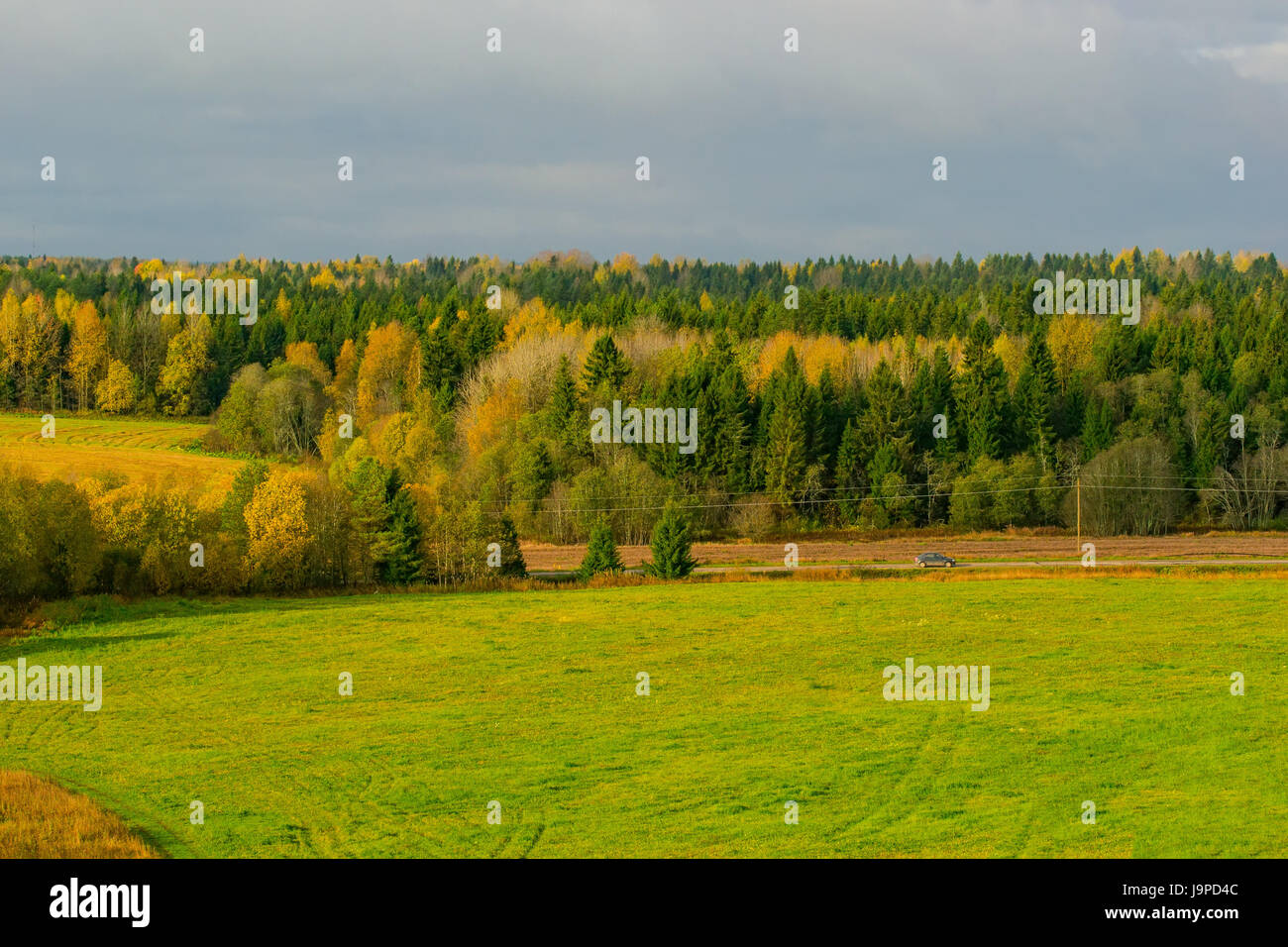 Autumn morning in the Vologda region of Russia Stock Photo - Alamy