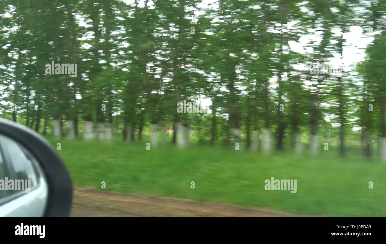 Window View from a Car, Bus, Train. Traveling HD videos Stock Photo - Alamy