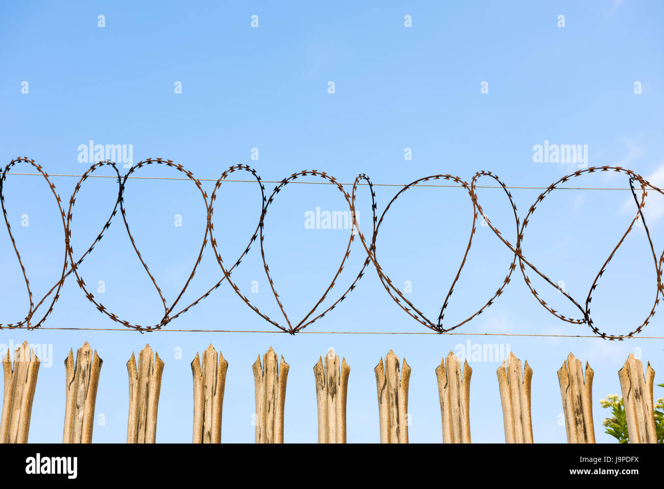 Razor wire on the top of Palisade Security fencing. Stock Photo