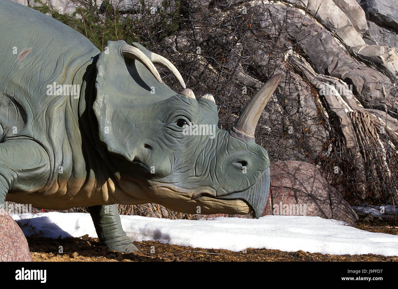 Centrosaurus,Plant-eating dinosaur,late chalk time,model, Stock Photo