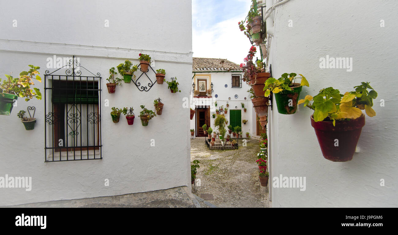 Spain,Andalusia,Priego de Cordoba,lane,house facades,floral decoration, Stock Photo