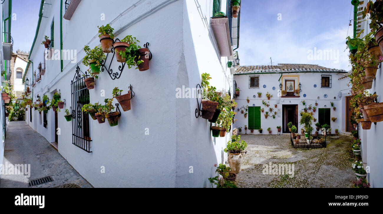 Spain,Andalusia,Priego de Cordoba,lane,house facades,floral decoration, Stock Photo