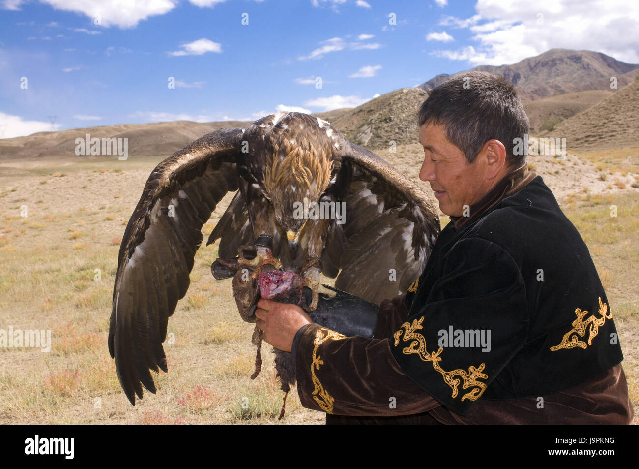 Eagle,bird of prey hunter,Issy Köl,Kirghizistan, Stock Photo
