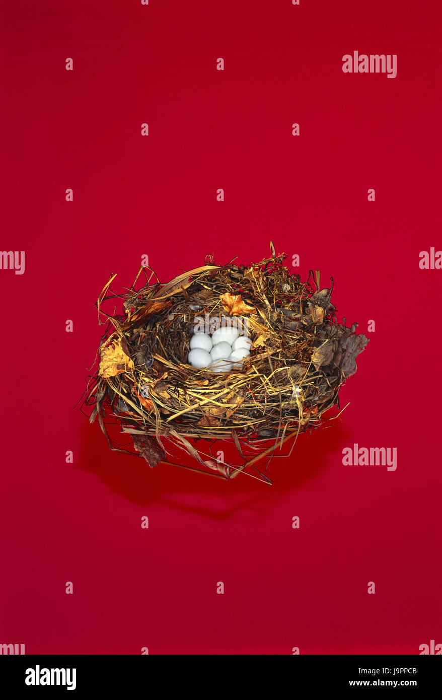 Vogel's nest,eggs,nesting place,breeding place,nest,nest construction,Gelege,Vogel's eggs,seven